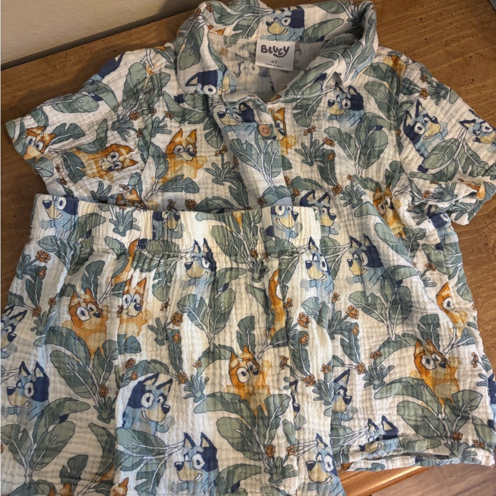 Kids Bluey 4T summer Shirt and Shorts Set
